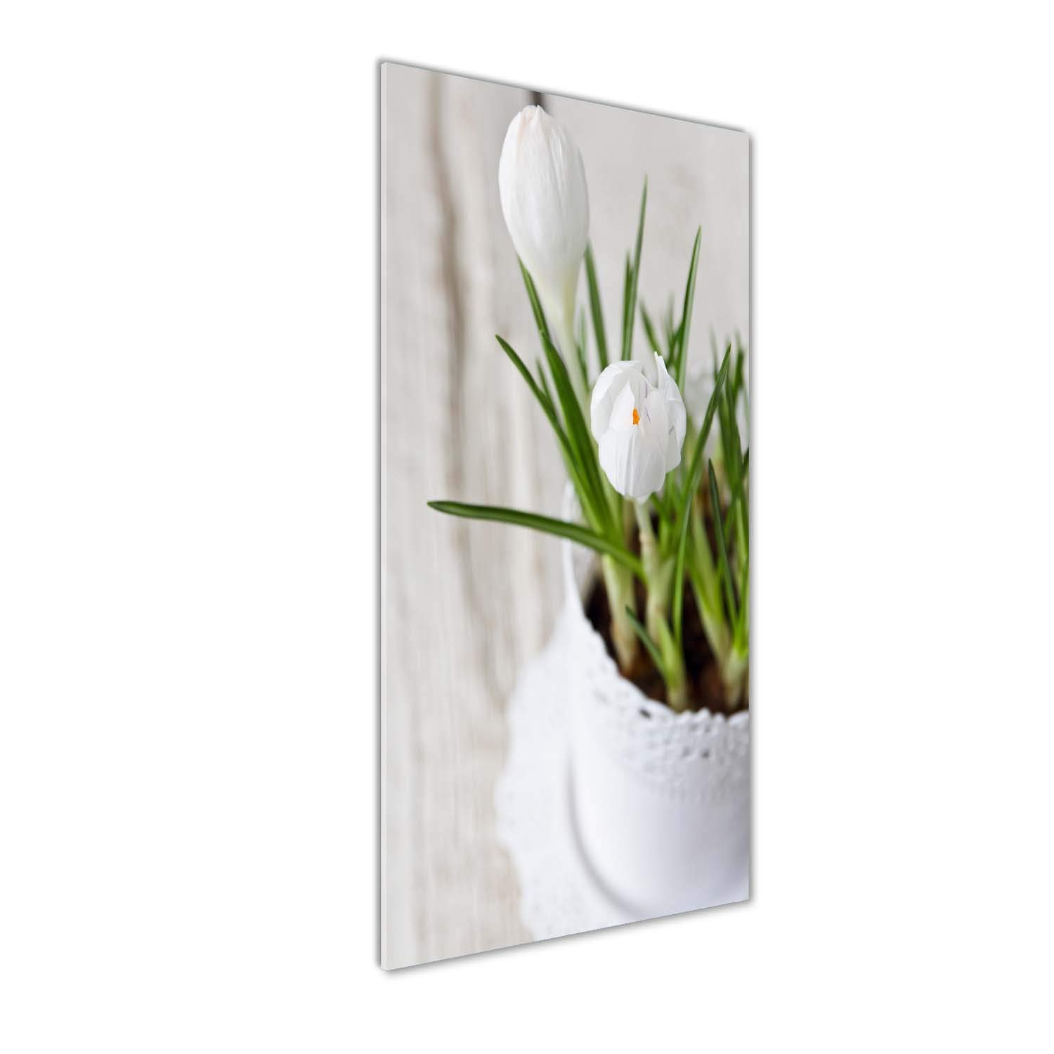 Image sur verre acrylique fleur 50x125 - Décoration murale moderne tableaux crocus blancs Tulup