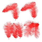 como hacer un disfraz de avestruz para niños 2 Anneome Cómo Hacer Avestruz 10 Piezas De Decoraciones Para Bodas De Color Rojo Decoraciones Fáciles De Guardar