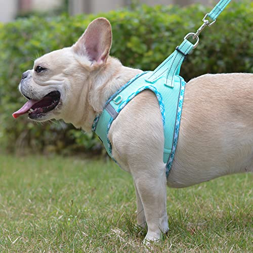 Mercano Soft Mesh Dog Harness And Leash Set, No-Chock Step-In Reflective Breathable Lightweight Easy Walk Escape Proof Vest Harnesses With Safety Buckle For Small Medium Dogs, Cats (Light Green, Xxs) #TOP4