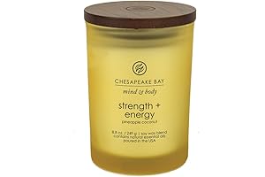 Chesapeake Bay Scented Candle: A Refreshing Dose of Strength and Energy