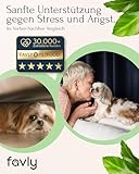 FAVLY – Relax Pulver Beruhigungsmittel für Hunde 250g – getreidefreies Ergänzungsfuttermittel zur natürlichen Beruhigung bei Stress & Angst – mit Melisse, L-Tryptophan & Passionsblume