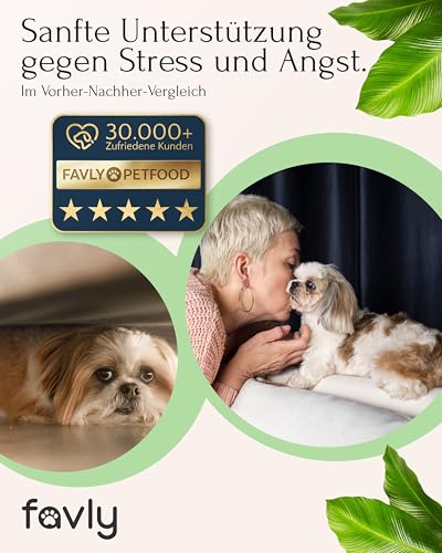 FAVLY – Relax Pulver Beruhigungsmittel für Hunde 250g – getreidefreies Ergänzungsfuttermittel zur natürlichen Beruhigung bei Stress & Angst – mit Melisse, L-Tryptophan & Passionsblume