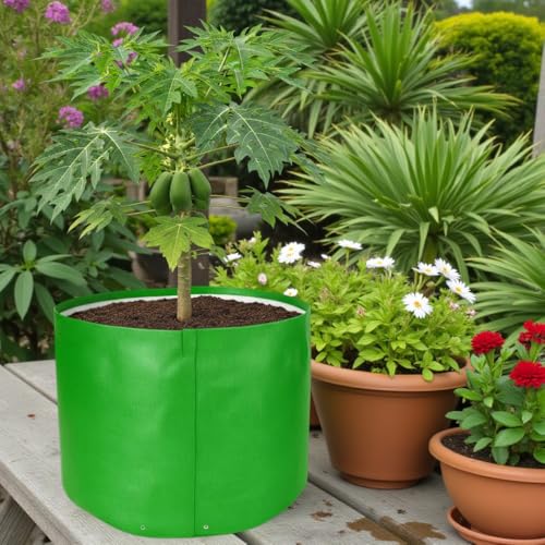 Image of HDPE UV Treated 340 GSM Plant Growing Bags for Terrace Gardening Easy to Use 18 x 15 Inch - Pack of 2