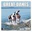 13 - Great Danes