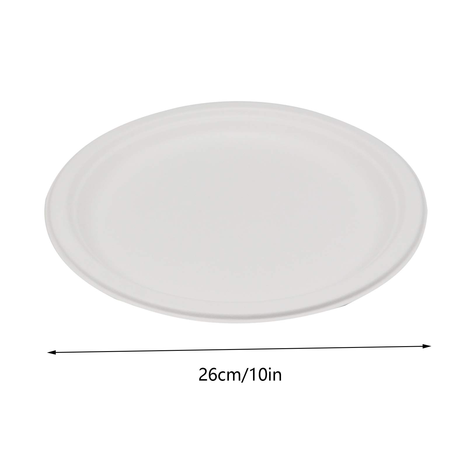 NA Lot De 24 Assiettes Rondes En Carton Jetables Pour Fête Prénatale, Safari, Zoo, Animaux De La