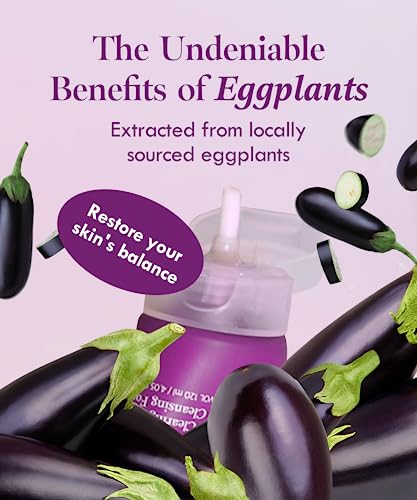 Papa Recipe Eggplant Clearing Mild Cleansing Foam 120ml - Image 4