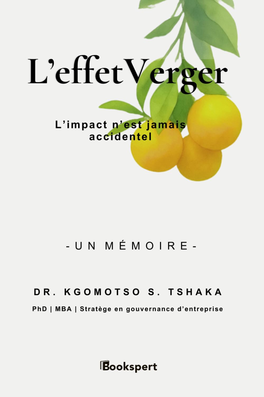 L’effet Verger: L’impact n’est jamais accidentel