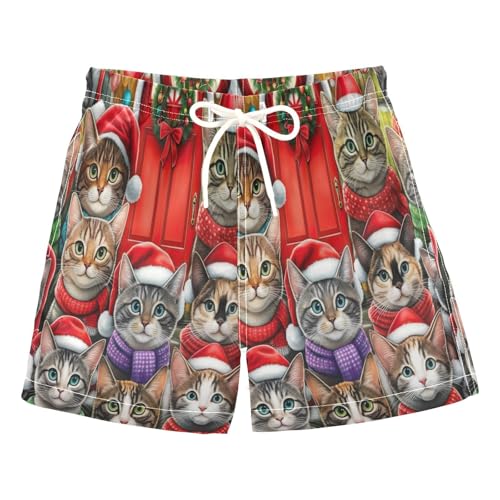 Swimming Clothes for Boys, Toddler Boy Swim 2t, Cute Cats Christmas