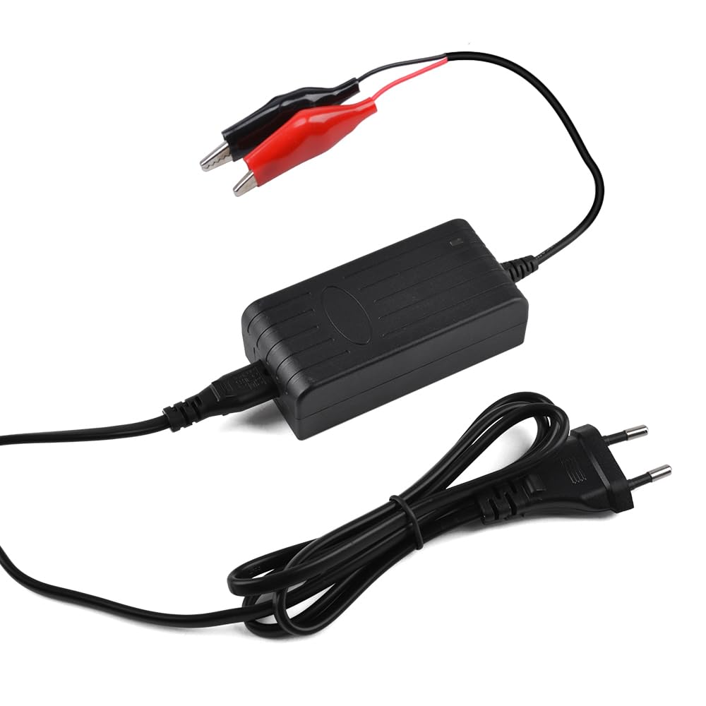 LiFePO4 batteria 24 V 6 Ah litio ferro fosfato batteria per campeggio, barca, roulotte solare