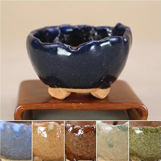 【盆栽鉢】 信楽焼 (竹鳳作) 手捻り 丸小鉢 6色展開(いよじ園) ブルー