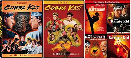 Cobra Kai Complete Seasons 1-3 with Karate Kid Movie Collection