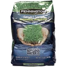 Pennington 100086853 Smart Seed Perennial Rye Blend Premium Grass Seed Mixture, 3-Pound