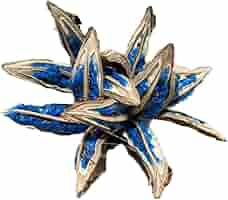 Amazon｜BLUE PEARL タビビトノキ 旅人の木 レア植物 Medium