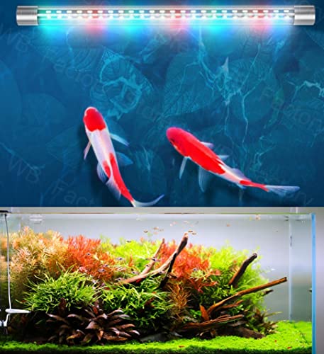 Image of VAYINATO Glass Rs Electricals Double Row High Brightness Wrgb T8 Led Light for Aquarium Fish Tank (C80, 72 Cm Led Size, Suits for 2.5-3.5 Ft Tank)