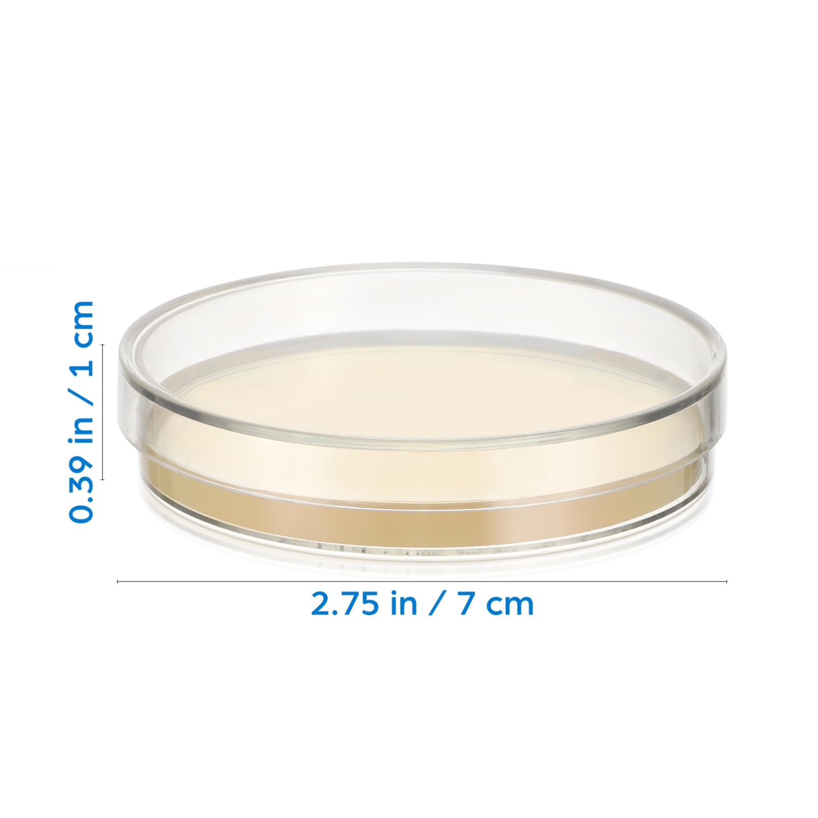 PartyKindom 3 Sätze Nähragarplatte Vorgegossene Agarplatten Ofen Agarplatten Für Das Labor Agarplatten-set Agarplatten Für Experimente Gemacht Agar-agar-pulver Laborglaswaren 20 Stück * 3