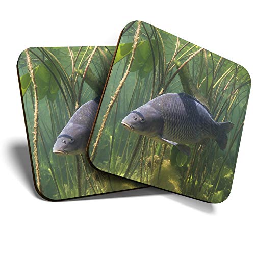Destination Vinyl Ltd Multicolor 2 X Square Coasters - Freshwater Carp Fish Pond Fishing Cork Backed Home Kitchen Accessory Tea Coffee Mug Mat #45078