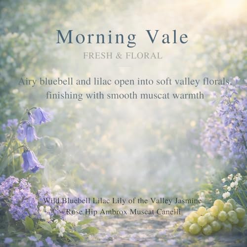 Image of Car Air Freshener Refill Liquid Set of 3 x 10 ML - Smart Car Air Freshener Refill - Car Fragrance Refill - Car Diffuser Refill (Morning Vale)