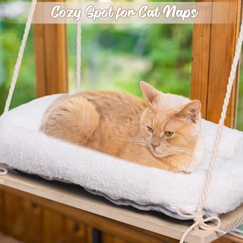 MCEAST Poleiro De Janela Para Gatos Com Cama Acolchoada, Cobertor Fofo, 4 Ventosas Fortes, Prateleir