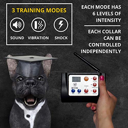Freedom Distribution Enterprises Upgraded Wireless 2-In-1 Dog Fence And Training System For Two Dogs, Dog Training, Wireless Pet Containment System, Two Collar Wireless Dog Fence #TOP3