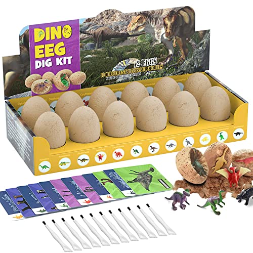 Preescolar, Toy LSHSXPX Huevos de Dinosaurio Excavación Kits, Dinosaurios Juguetes 12 Pcs, Juguetes de Dinosaurio para Niños, Juego Educativo de Arqueología y Paleontología...