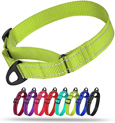 Collardirect Reflective Martingale Dog Collar Nylon Training Collars for Small Medium Large Dogs Puppy Pink Orange Green (S, Neck Size 11"-15", Lime Green)