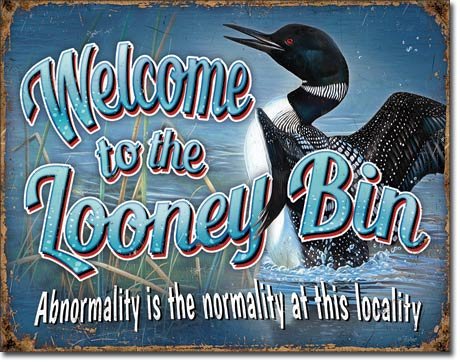 Desperate Enterprises Looney Bin Tin Sign, 12.5" W x 16" H