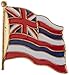 US Flag Store Hawaii Flag Lapel Pin