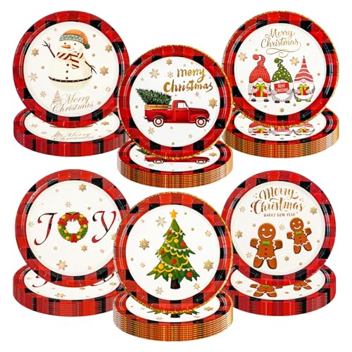 EVYIENEN 48 Stück Weihnachts Farbverlauf Pappteller, Partyteller...