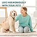 Enhanced Bitter Apple Spray for Dogs to Stop Chewing and Licking, No Chew Spray for Dogs, Alcohol Free/Non-Toxic, Stop Licking Wounds and Hot Spots, Protecting Furniture, Shoes, Bandages (Bitter)