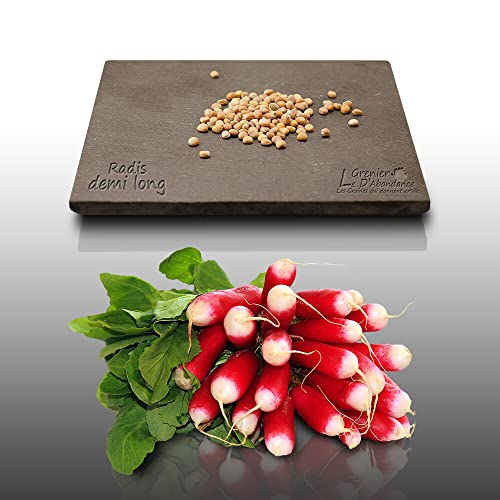 100 graines à semer - Le Grenier d'Abondance - RADIS Demi-long de 18 jours - Radix