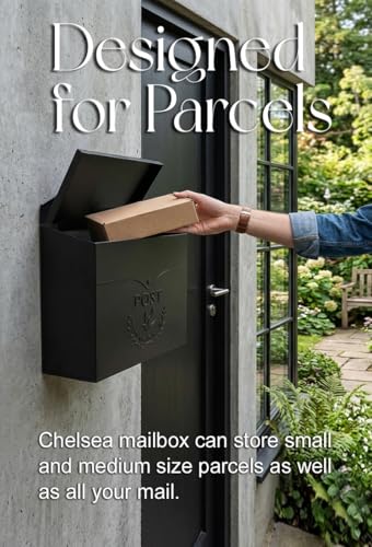 https://m.media-amazon.com/images/I/51I3UFRQI0L.jpg