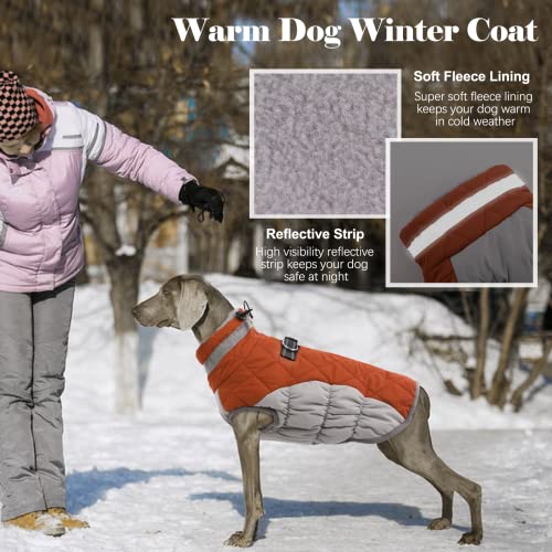 Image of Lelepet Warm Dog Winter Coat Cold Weather Jacket Windproof Reflective Turtleneck Vest with Plush Neckline D-Ring for Leash Thick Fleece Lining Jacket Pet Apparel for Small Medium Large Dogs(X-Small) | Windproof Reflective Turtleneck Puppy Vest with Plush Neckline D-Ring for Leash Fleece Jacket for Small Medium Large Dogs XS