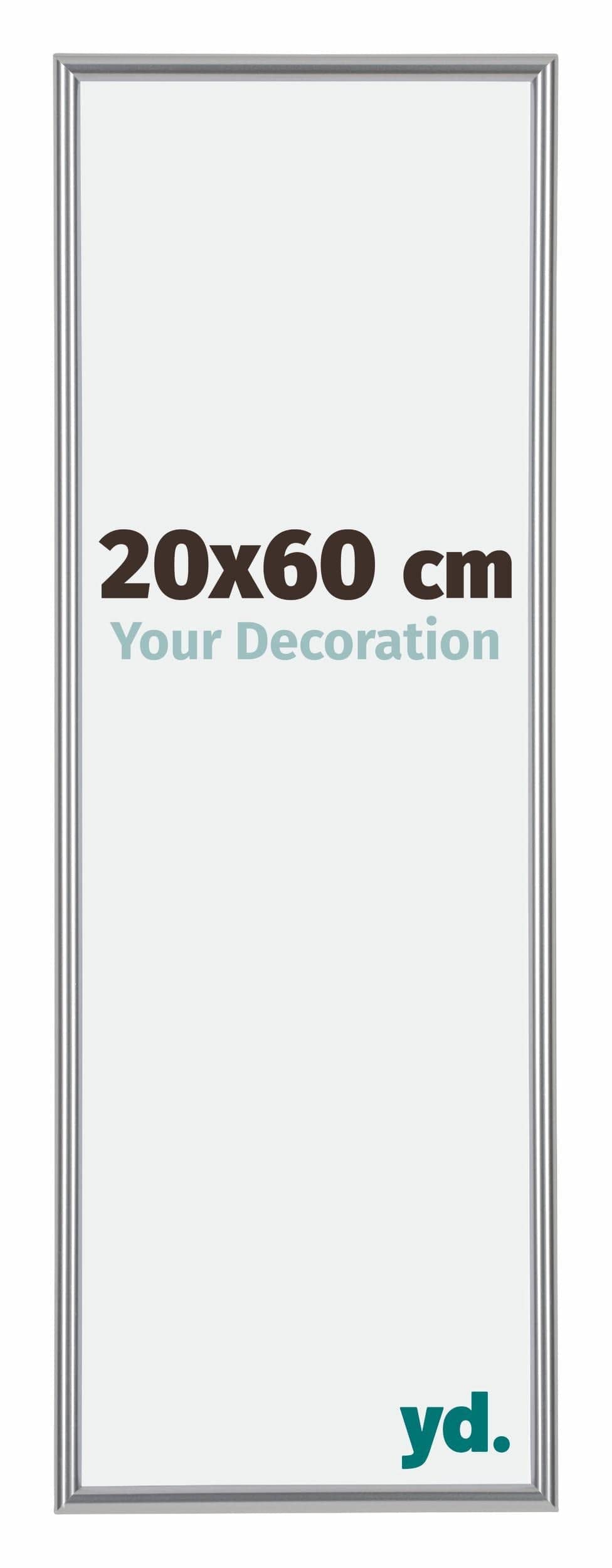 Your Decoration - Picture Frame 20,00x60,00 cm - Silver High Gloss - UV Resistant Glass Plate - Anti-Reflective -Annecy — image 1
