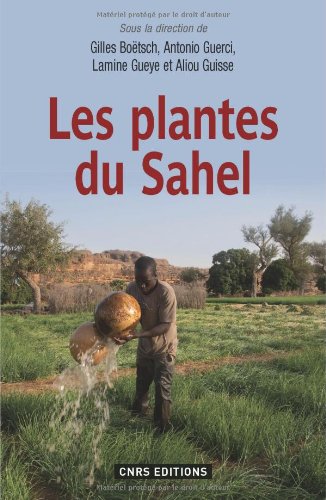 Les Plantes du Sahel. Usages et enjeux sociaux Gratuit