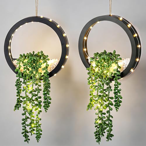 Der Rose 2 Pack Lighted Hanging Plants, Artificial String of