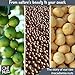 Oh! Nuts Macadamia Nuts - Raw - 100% Natural - 1 lb - Jumbo Raw Macadamia Nuts - Packed in New York Zip-Seal Bag for Exceptional Freshness