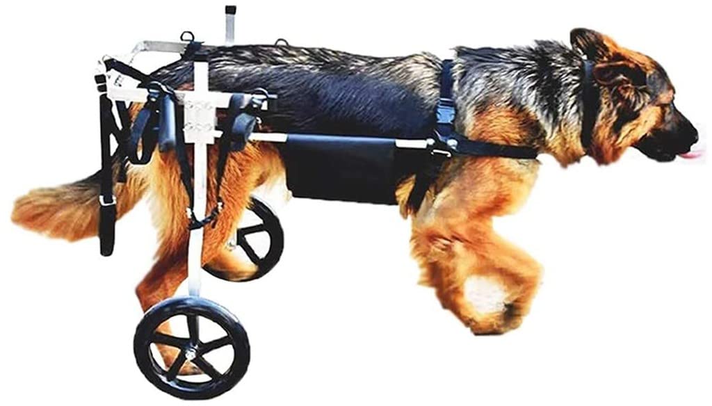 REMEK Passeggini Sedia A Rotelle Cane E Cuccioli per Zampe Posteriori Carrello per Cani Anziani Feriti Disabili per La Riabilitazione delle Zampe per 1~10 kg