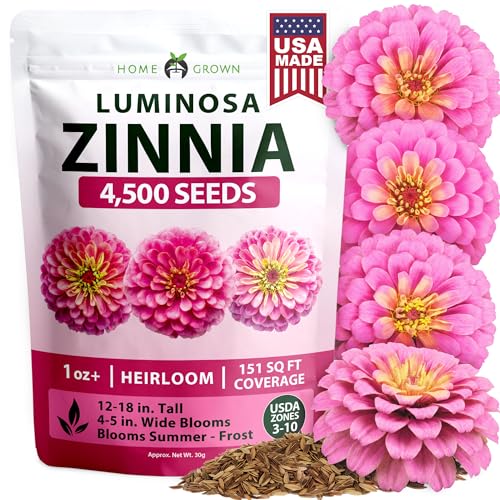 Image of HOME GROWN Pink Zinnia Seeds - 4,500 Luminosa Zinnias, Easy to Grow Annual Flower Seeds for Planting Outdoors for 2026, Fast Blooming, Heat Tolerant Herb Seed Garden Companion (Zinnia elegans)