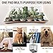 KJIZMO Cactus Plant Dog Bed Mat, Soft Comfortable Warm Crate Pad with Anti-Slip Bottom, Machine Washable Pet Mattress for Pets Sleeping for Large Medium Dogs & Cats 36x24in