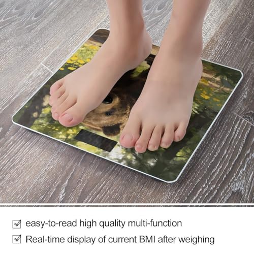 Bascula digital para baño con pantalla LCD y vidrio templado miniatura 5