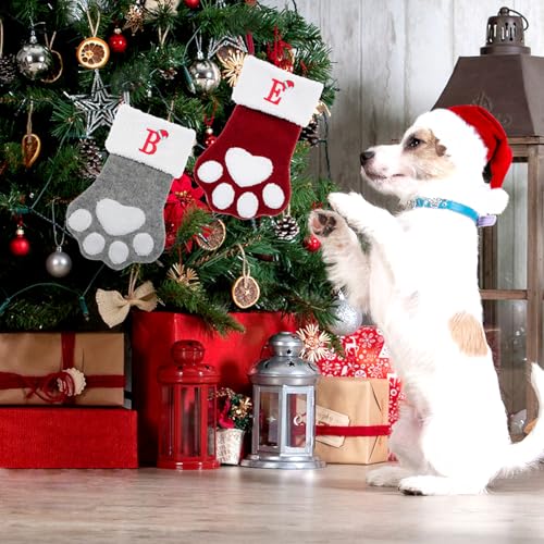 Bas de Noël pour animal avec lettre S brodée - Grand modèle en feutrine