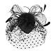 Tinksky Retro Style Bird Cage Mesh Bridal Face Veil Feather Fascinator Hair Clip Wedding Valentine's Day Hair Accessory Black OS