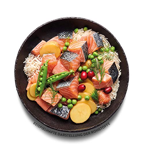 Pets Deli Classic Hunde Nassfutter Lachs, Reis & Kartoffel, leicht verdaulich, mit Omega-3 für Haut & Fell, getreidefrei, ohne Zucker, 6x750 g, Premium Qualität