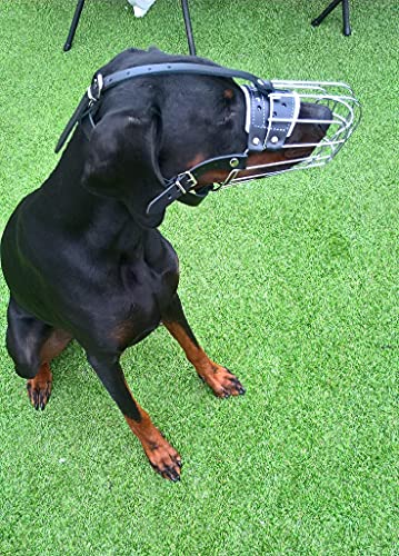 Champion L&J Pets UK - Museruola per cani