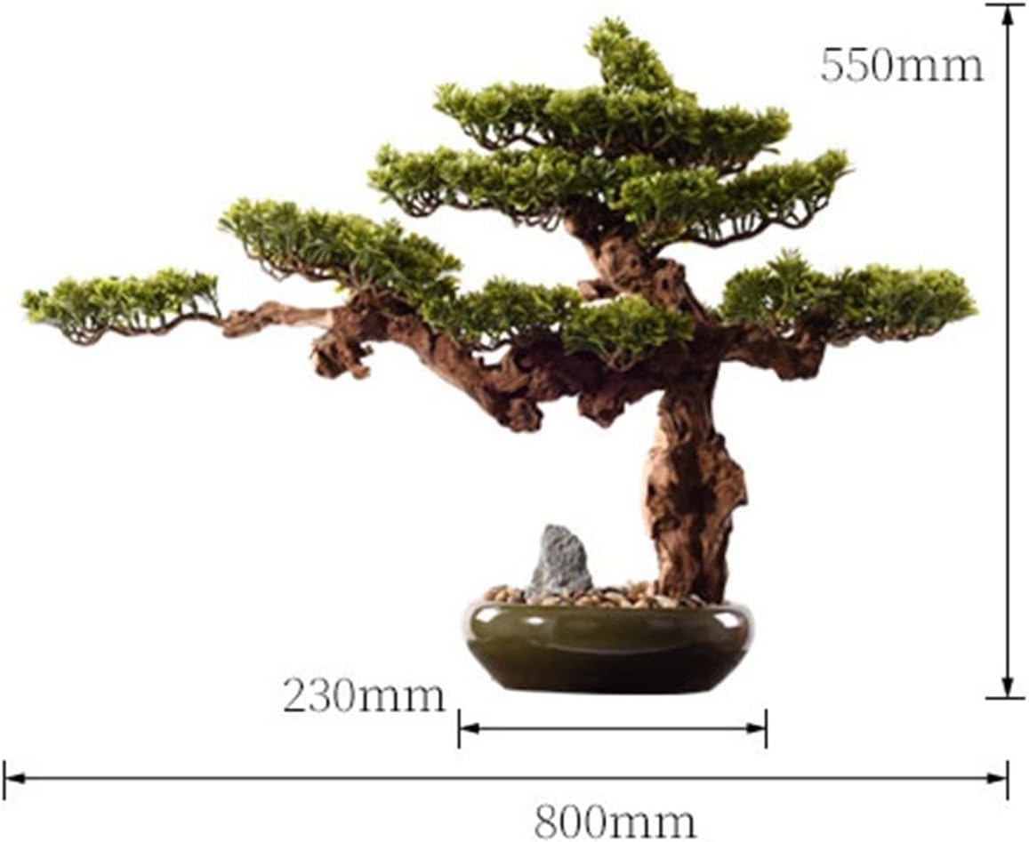 貴風盆栽赤石五葉松半懸崖作り 実生45年強幹太