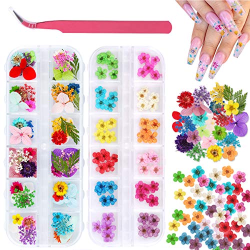 2 Boxes Dried Flowers for Nail Art, KISSBUTY 24 Colors Dry Flowers Mini Real Natural Flowers Nail Art Supplies 3D Applique Nail Decoration Sticker for Tips Manicure Decor (Daffodil Hydrangea Daisy)