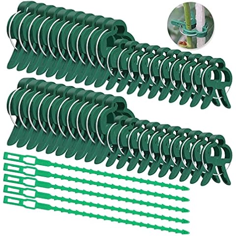 Clips de Fijación de Plantas Trepadoras Joyan Cover