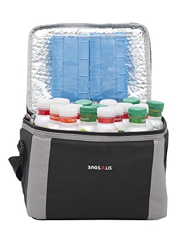 Image of BagsRUs Black Polyester 11 Liter 12 500ml Cans Portable Travel Chiller Cooler Bag with 2 Free ice Packs (CH104FBL)