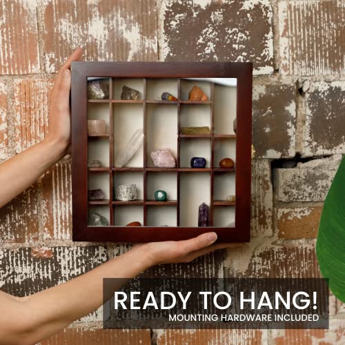 Image of Adjustable Rock Display Case - Rock Collection Box with Fabric Bed for Mineral Display - Dark-Finish Shadow Box with Shelves for Crystal Storage