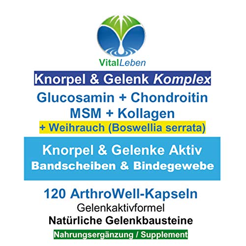 Knorpelaufbau KNORPEL & GELENKE Komplex 120 Kapseln - ArthroWell TOP-5 Gelenkbausteine Gelenkkapseln mit Glucosamin, Chondroitin, MSM, Kollagen, Weihrauch. OHNE ZUSATZSTOFFE 26444-120